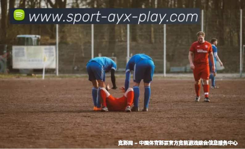 使用方法与注意事项